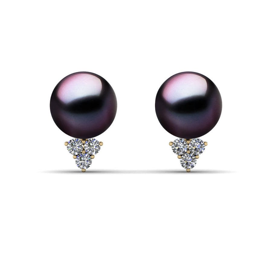 Starlight Black Pearl Stud Earrings